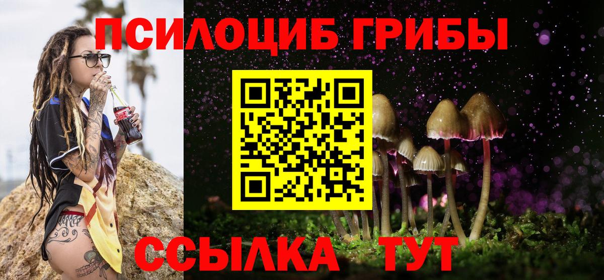 Жигулёвск  Псилоцибиновые грибы мицелий  Вход с VPN  купить  сайты  Псилоцибиновые грибы мицелий 